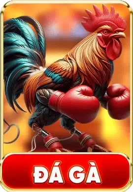 SUMCLUB ⚡ Trang Chủ SUMCLUB Mới Nhất ✔️ Đăng Ký +88K 250 Đá gà Sumclub